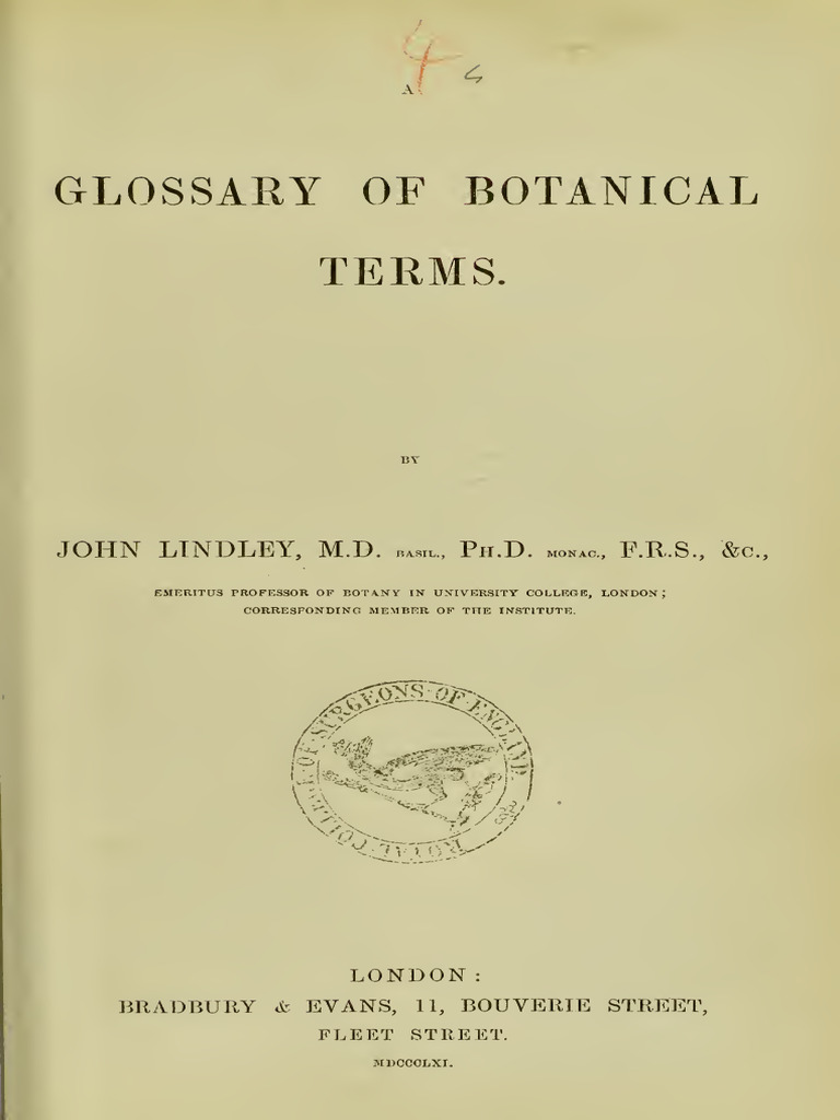 Botany Terms | PDF | Flowers | Leaf