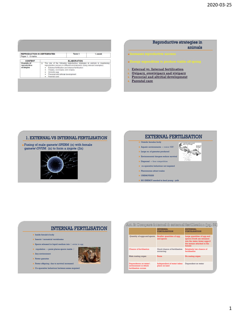 2020 REPRODUCTIVE STRATEGIES IN VERTEBATES (VS) | PDF | Egg | Fertilisation