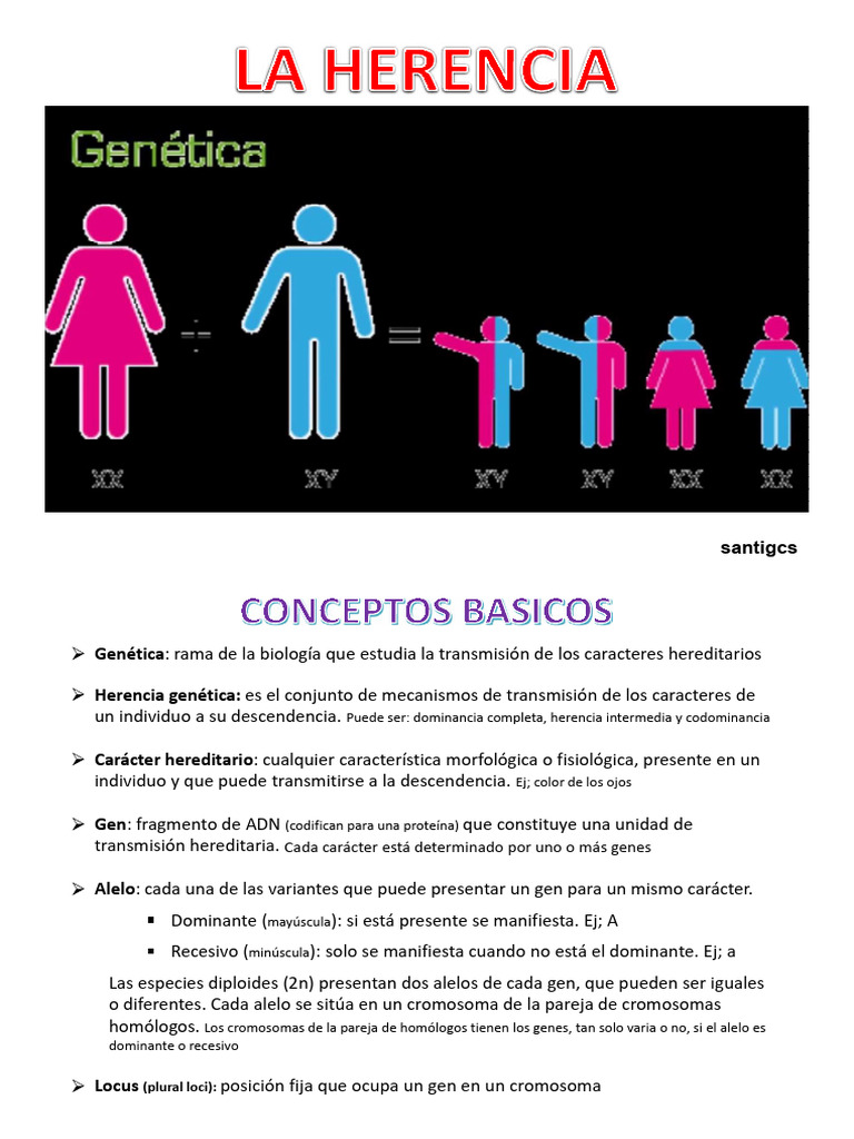 T.3 - La Herencia | PDF | Dominancia (Genética) | Epistasis
