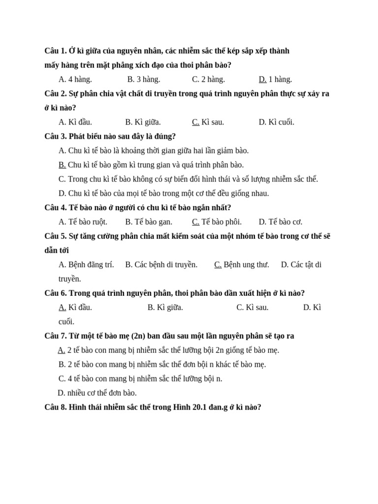 SH10_17 | PDF