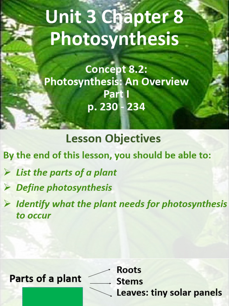 Ch8 C2 Photosynthesis Part I | PDF