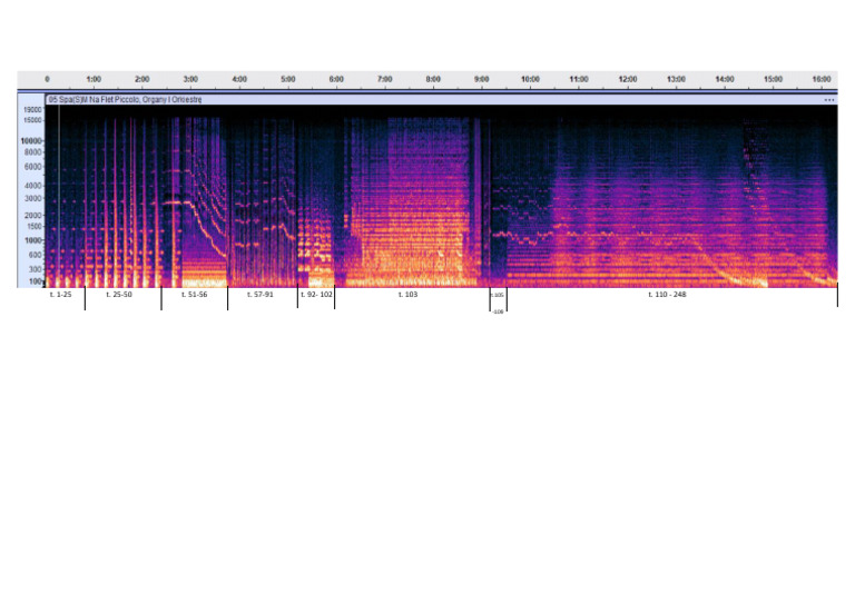 Sonogram | PDF