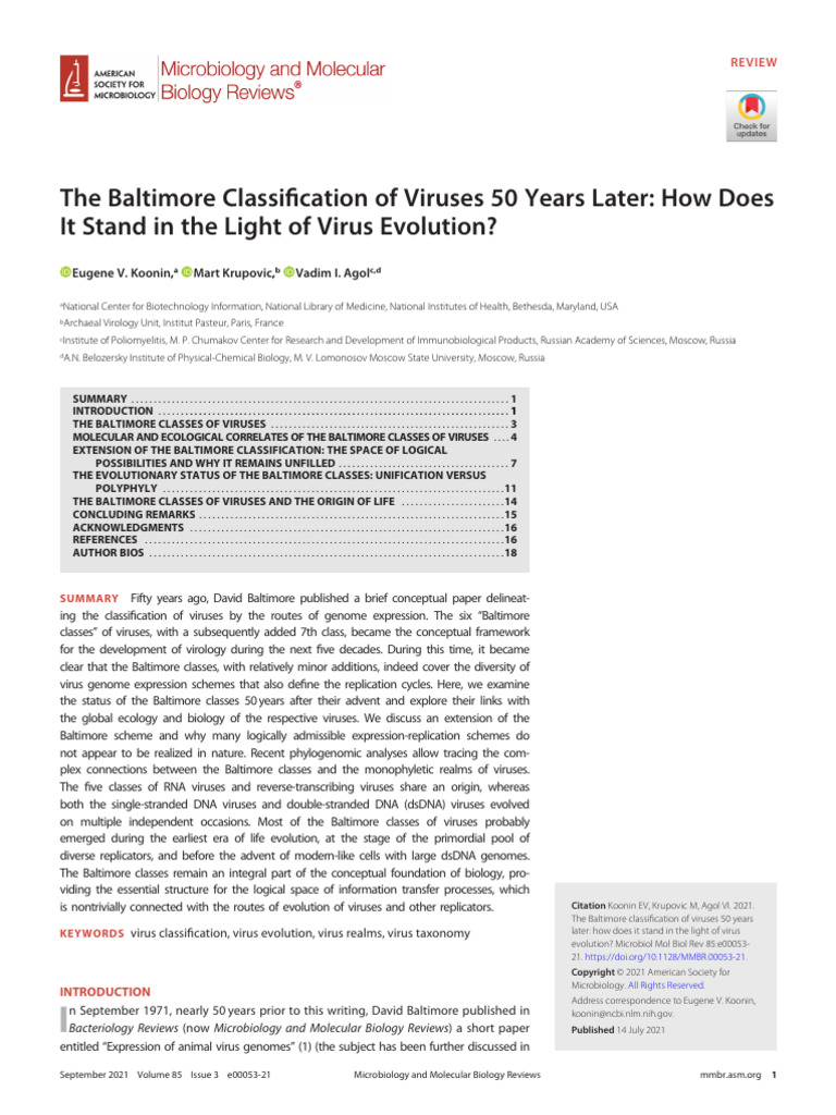 Baltimore Classification | PDF | Sense (Molecular Biology) | Virus