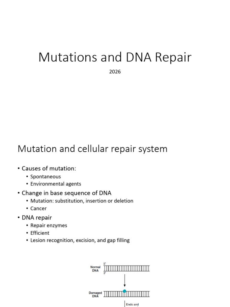 Mutation and DNA Repair-2026 | PDF | Dna Repair | Dna