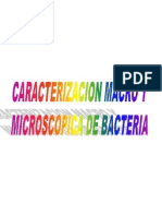 4 Caracterizacion Macro y Microscopica de Bacteria