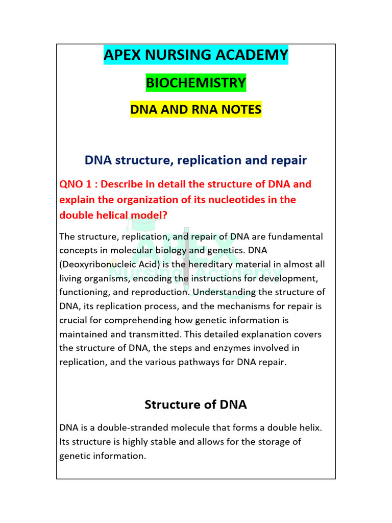 Dna and Rna Complete Notes Notes Apex Nursing Academy | PDF | Operon | Rna