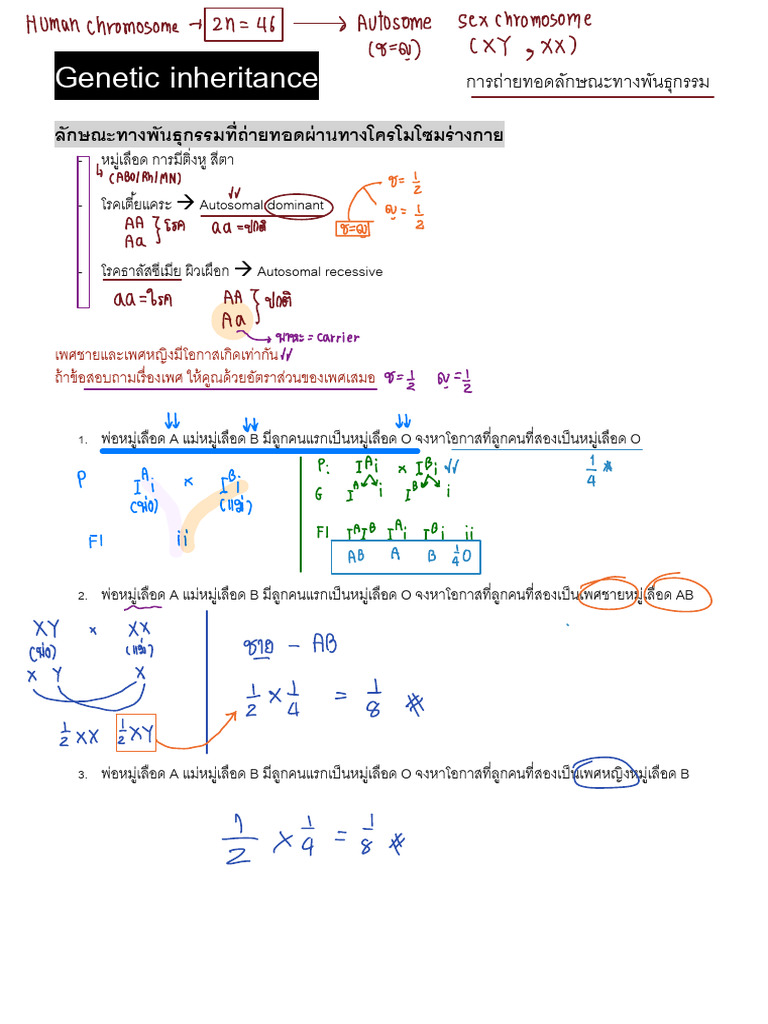 Genetic Inheritance 3 | PDF