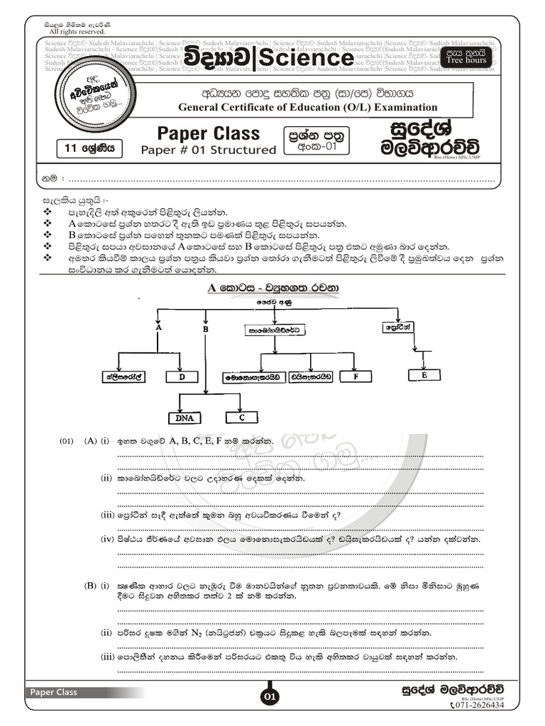 Grade 11 Paper # 01 Structured | PDF | Qualifications | Vocational ...