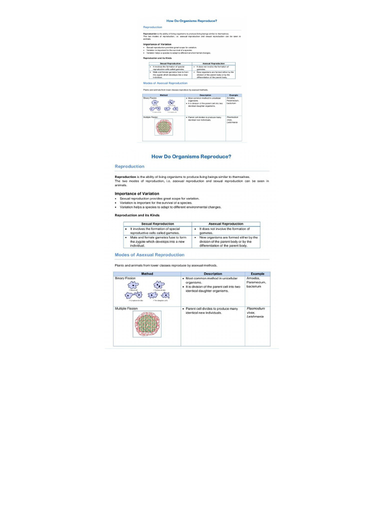 PDF Science Notes | PDF