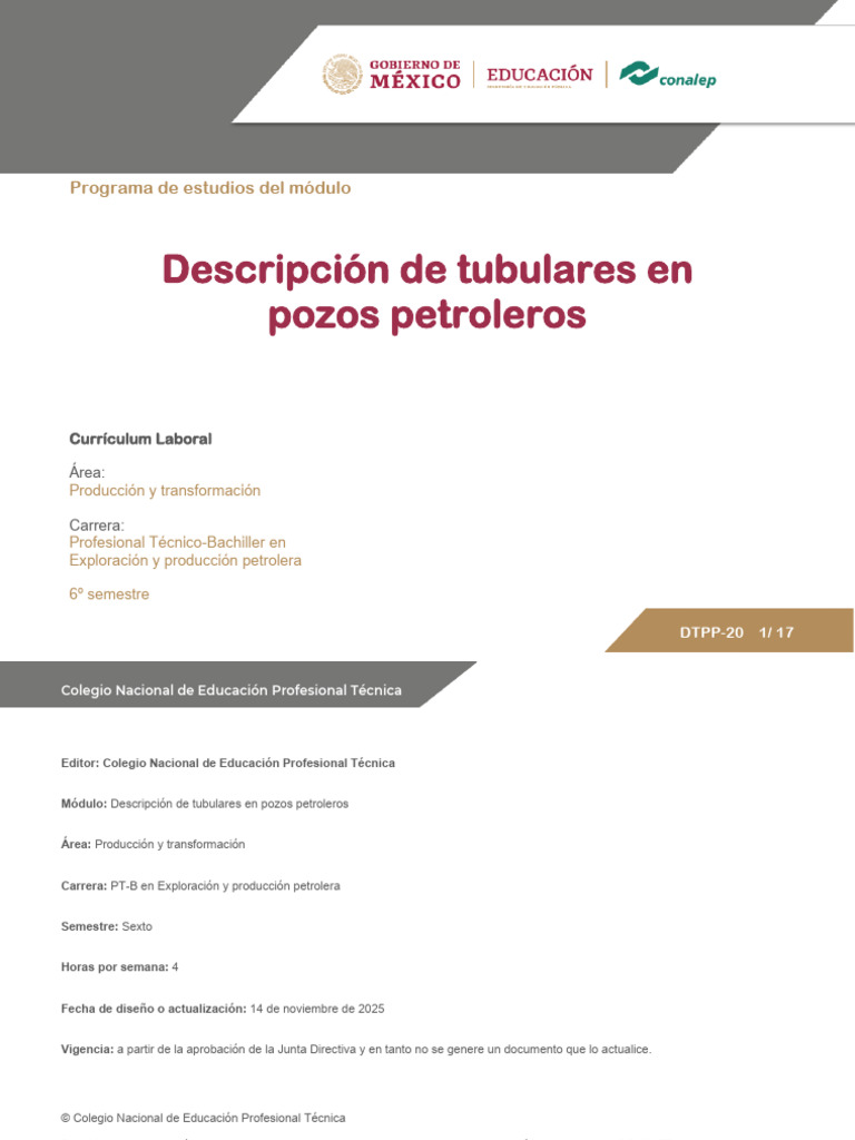 Pe DTPP-20 | PDF | Plan de estudios | Tubería (transporte de fluidos)