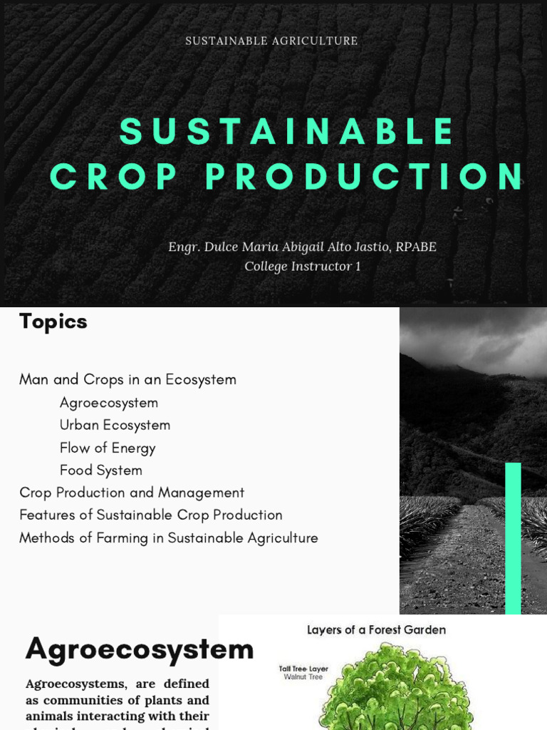 Sustainable Crop Production 1 | PDF | Agriculture | Sustainable Agriculture