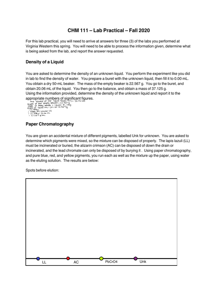 Lab 11 Lab Practical | PDF
