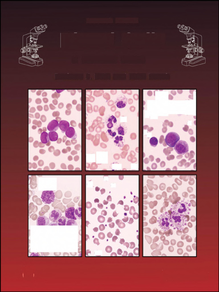Amazing_Blood_Cells_Hematology_Atlas_ ?_1769922526 | PDF