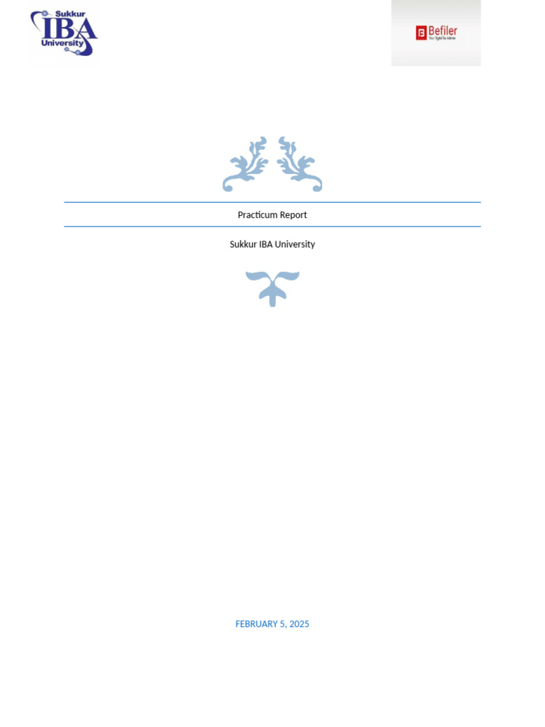 Halar Practicum Report | PDF | Taxes | Regulatory Compliance