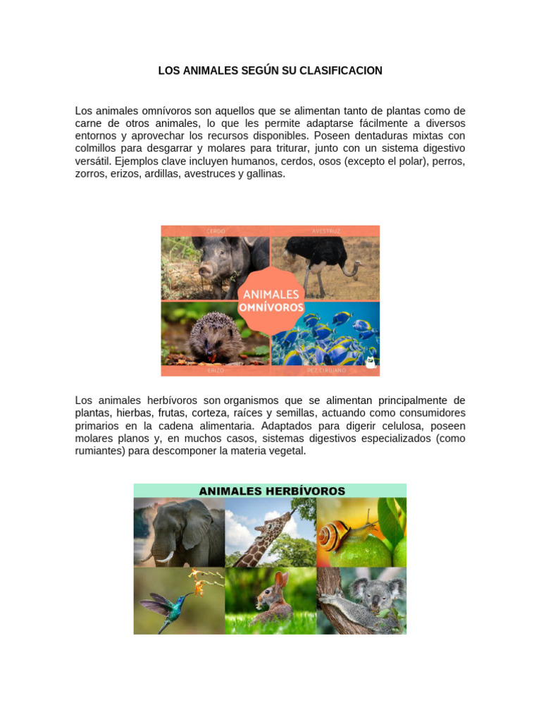 Los Animales Según Su Clasificacion. | PDF