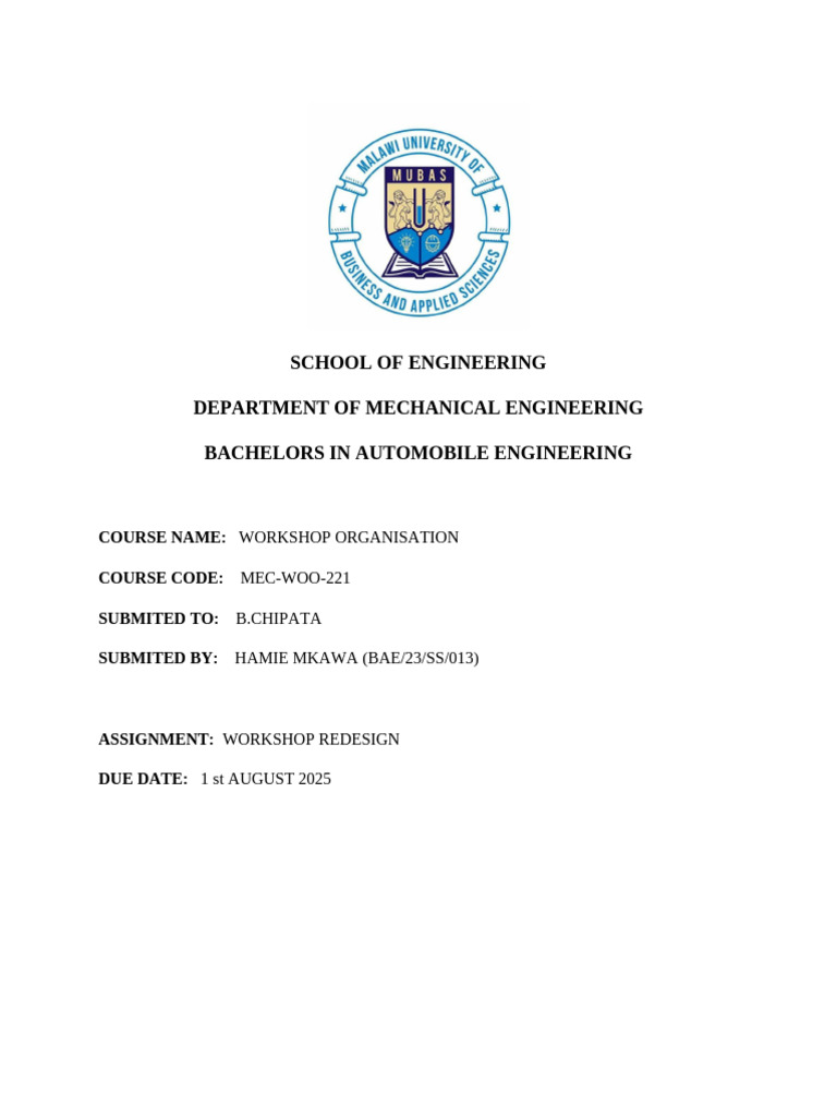 Hamie Woo Assignment | PDF | Car | Emergency Evacuation