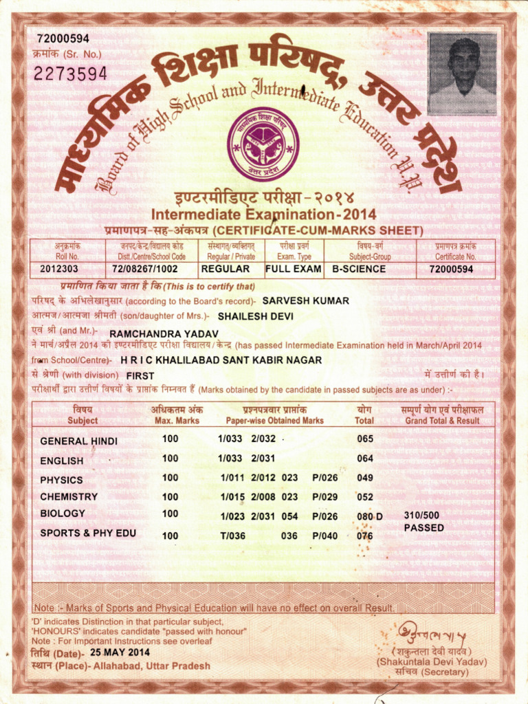 Mark Sheet | PDF