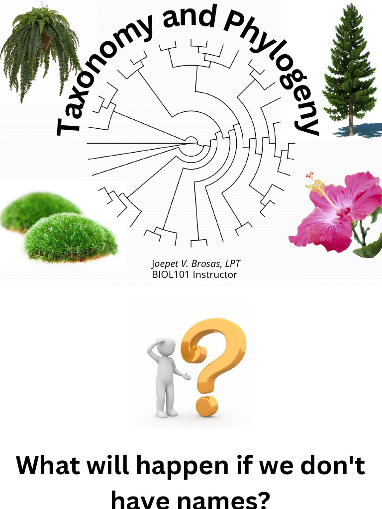 Lecture 8 - Taxonomy and Phylogeny | PDF | Taxonomy (Biology ...