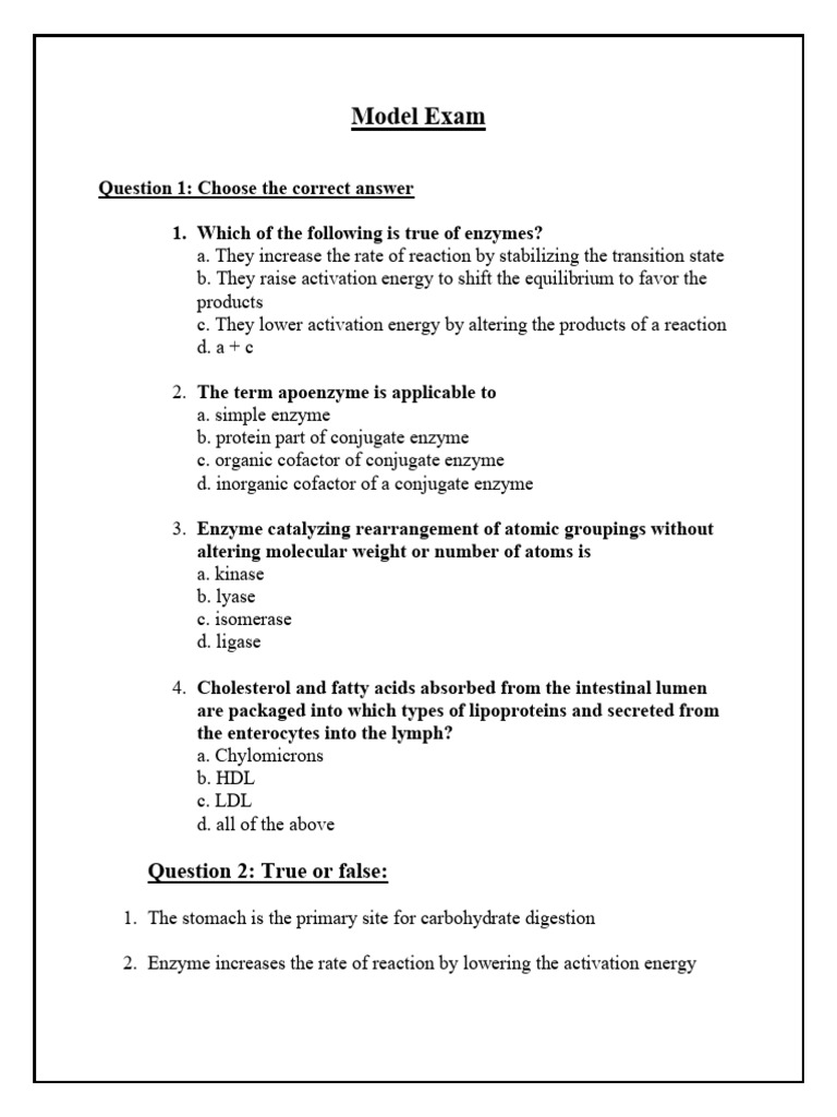 Model Exam | PDF