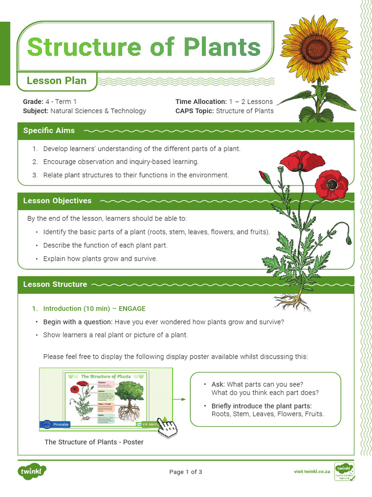 Grade 4 Ns Technology Lesson Plan Structures of Plants | PDF | Plants ...