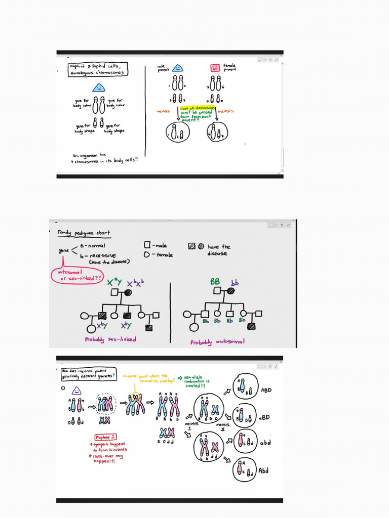 Notes Chapter 16 | PDF