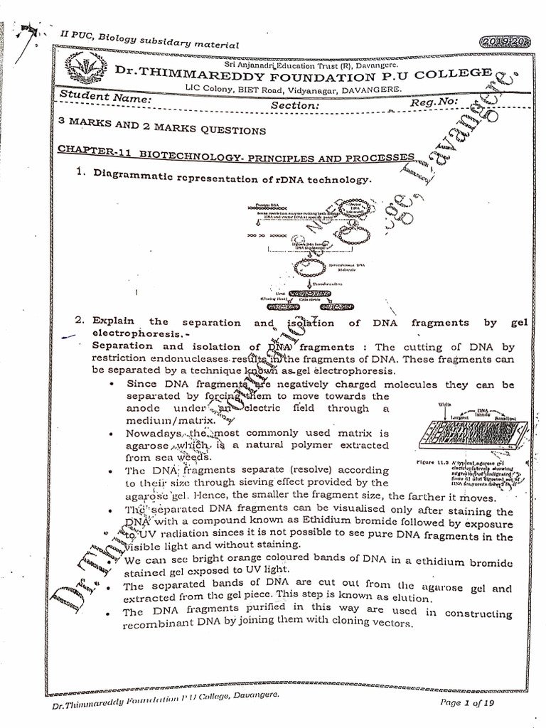 Subsidiary Material 2 | PDF