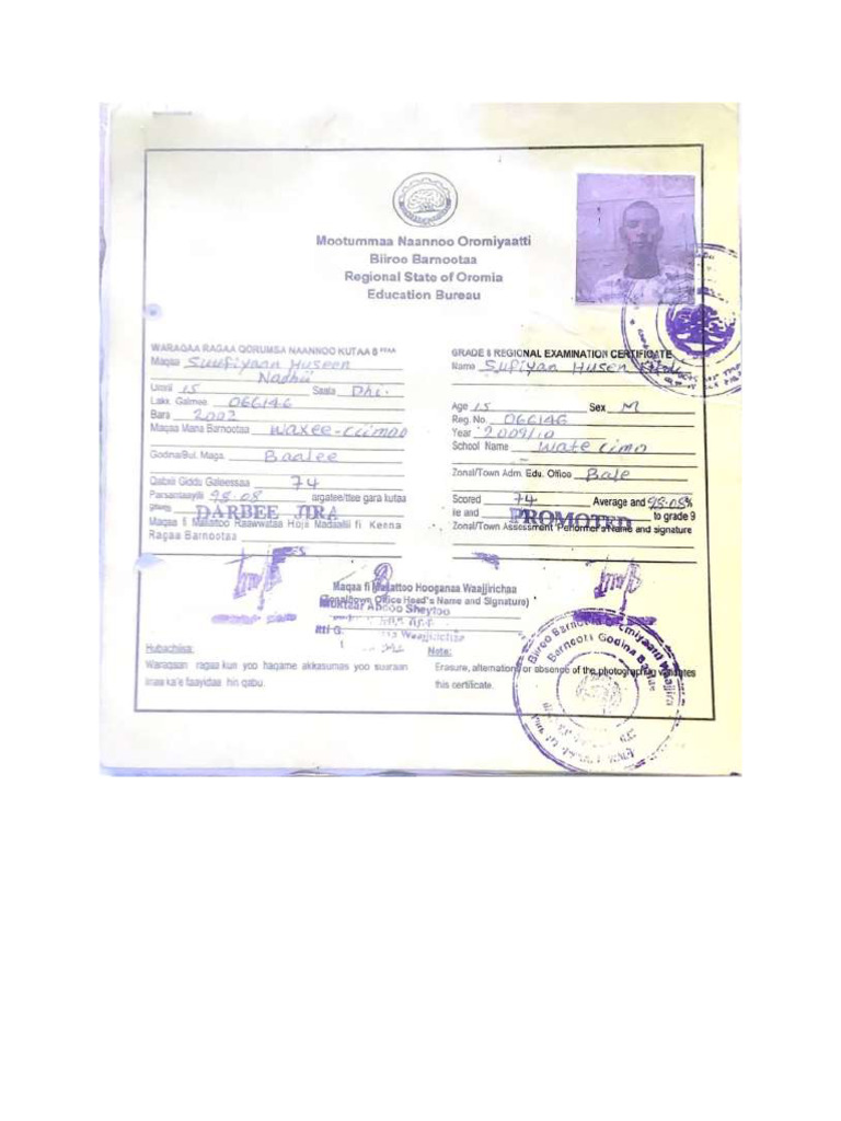 My Document (No Experience) | PDF