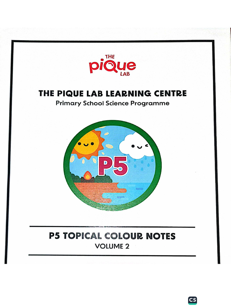 Pique Notes Vol 2 | PDF