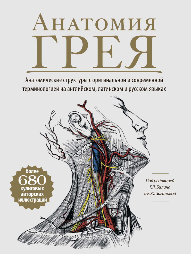 Anat Greya Atlas | PDF