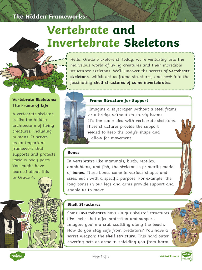 Za Nst 1695909115 the Hidden Frameworks Vertebrate and Invertebrate ...