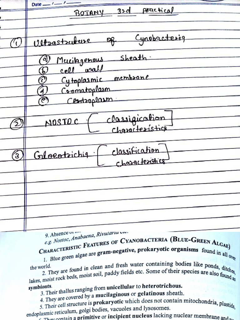 Botany 3rd Practical (ENG) | PDF