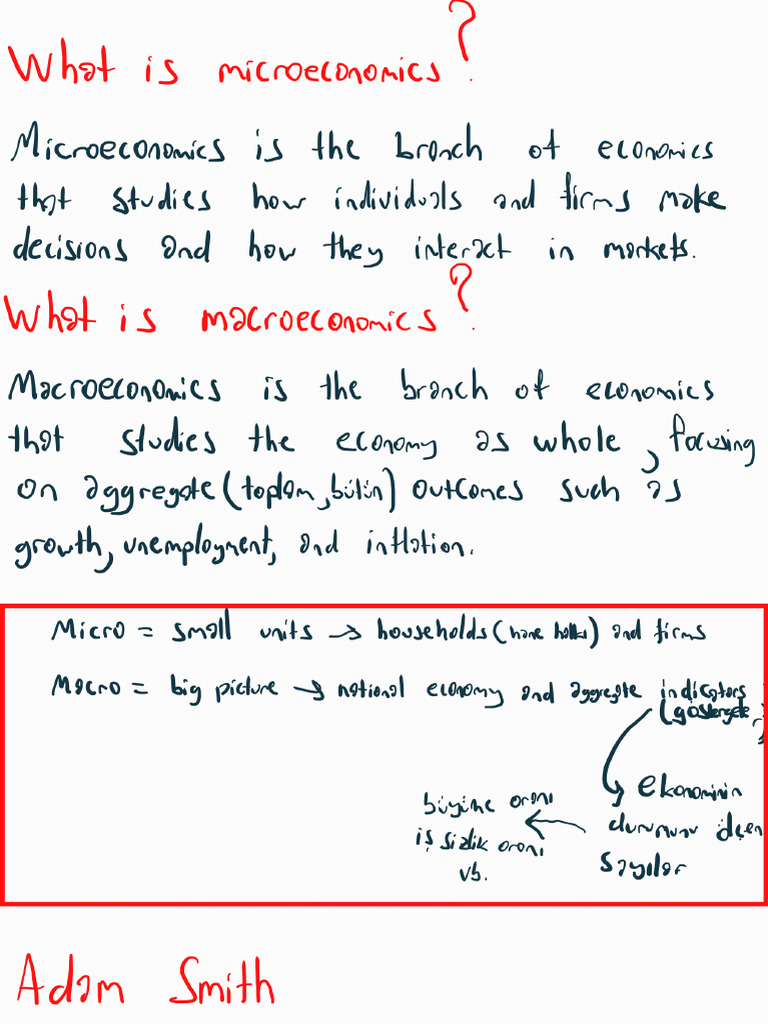 Basic Microeconomics 1 250922 182021 | PDF