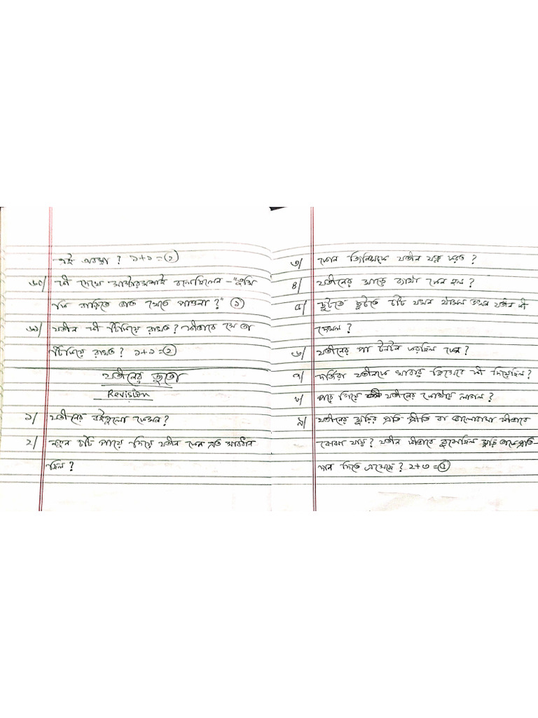 DocScanner Jotiner Juto Revision Questions | PDF