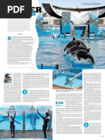 Download A Killer Show Death At SeaWorld Excerpt by David Kirby  by Jeffrey Ventre MD DC  SN99867677 doc pdf