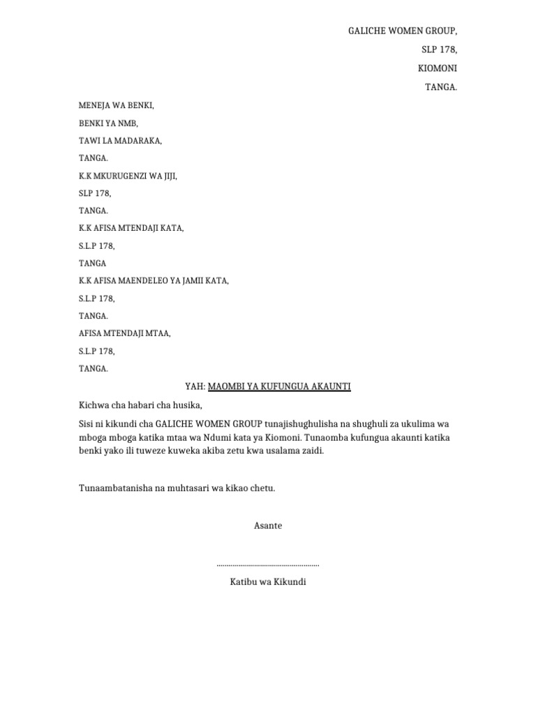Galiche Account | PDF