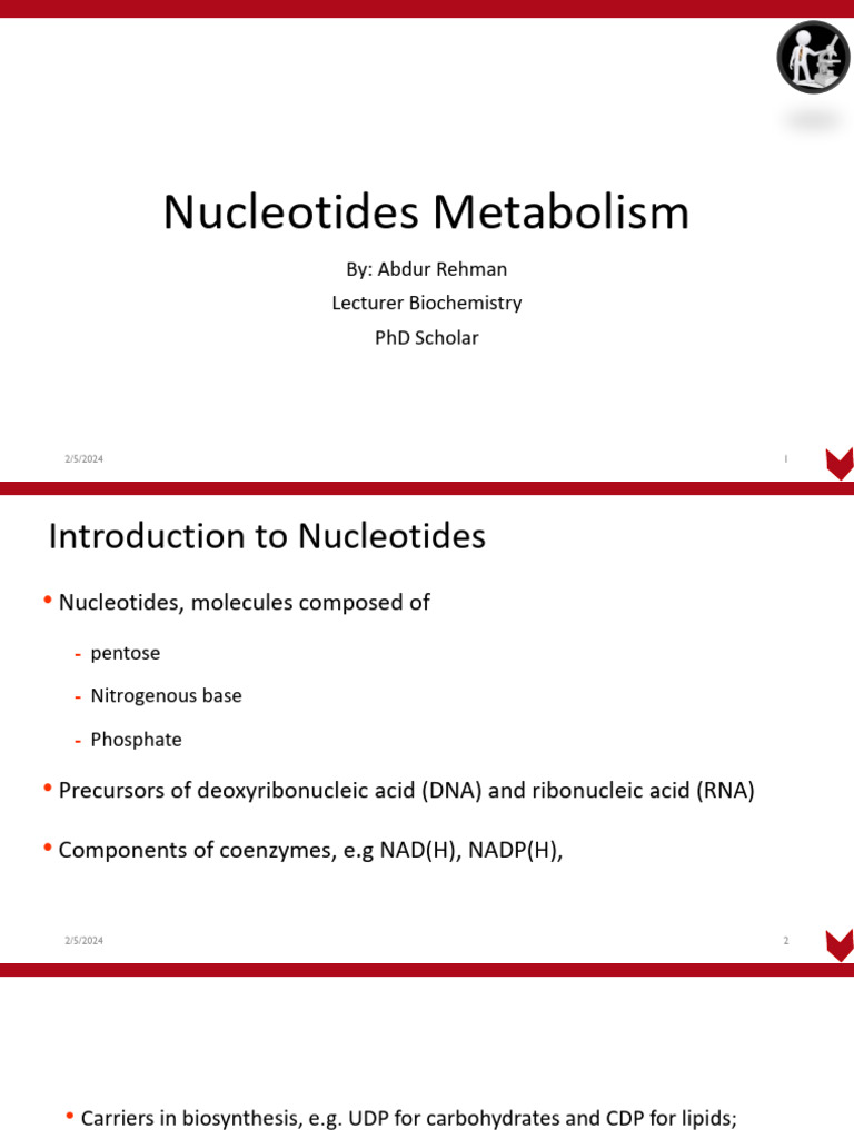 BIOCHEMISTRY LL Lec 11 Nucleotides Metabolism | PDF | Nucleotides ...