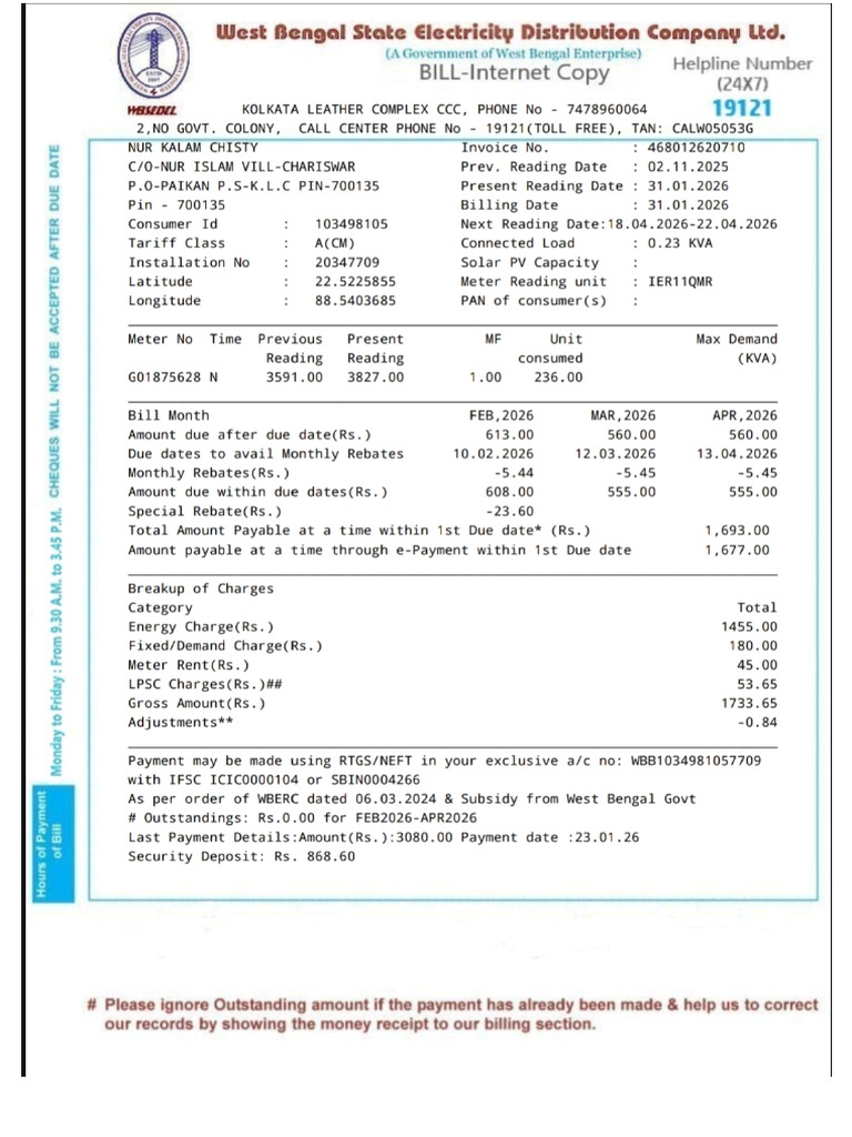 Electric Bill | PDF