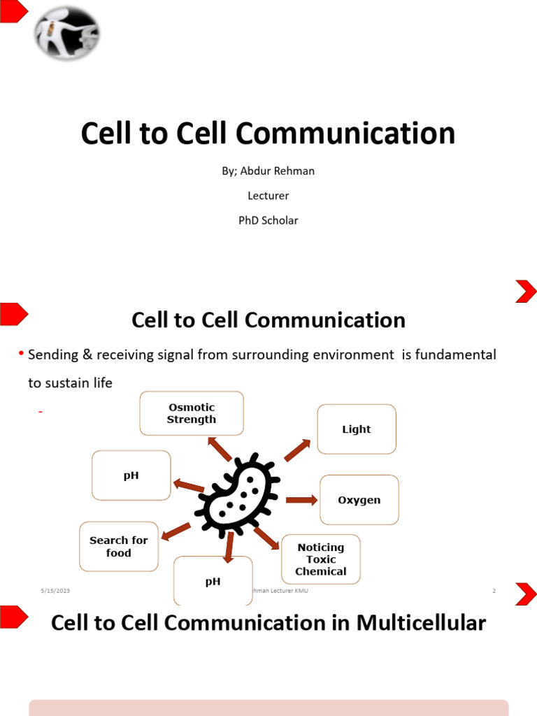 Cell To Cell Communication | PDF | Cell Signaling | Cell (Biology)