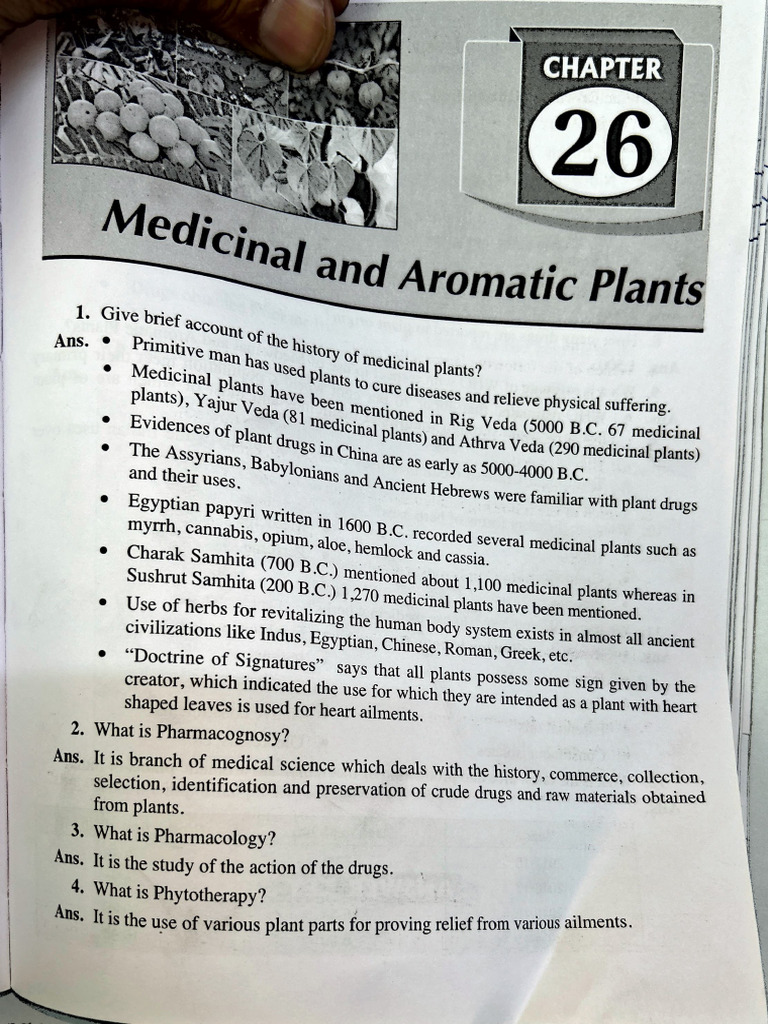 Medicinal and Aromatic Plants | PDF