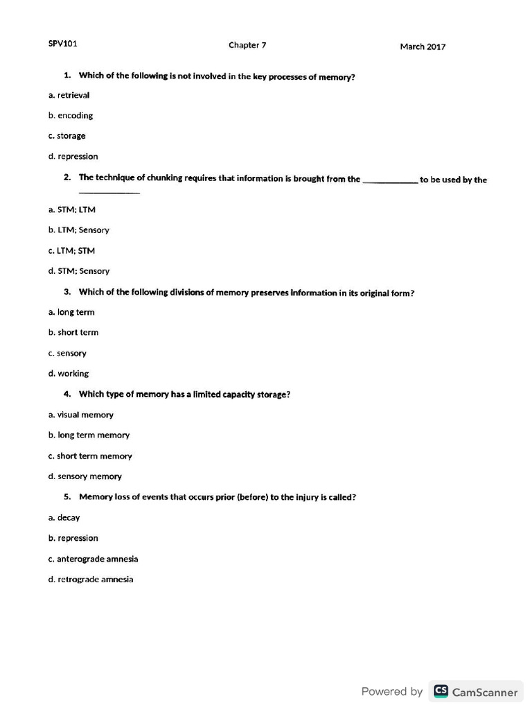Spvv101 (Human Memory) Quiz | PDF