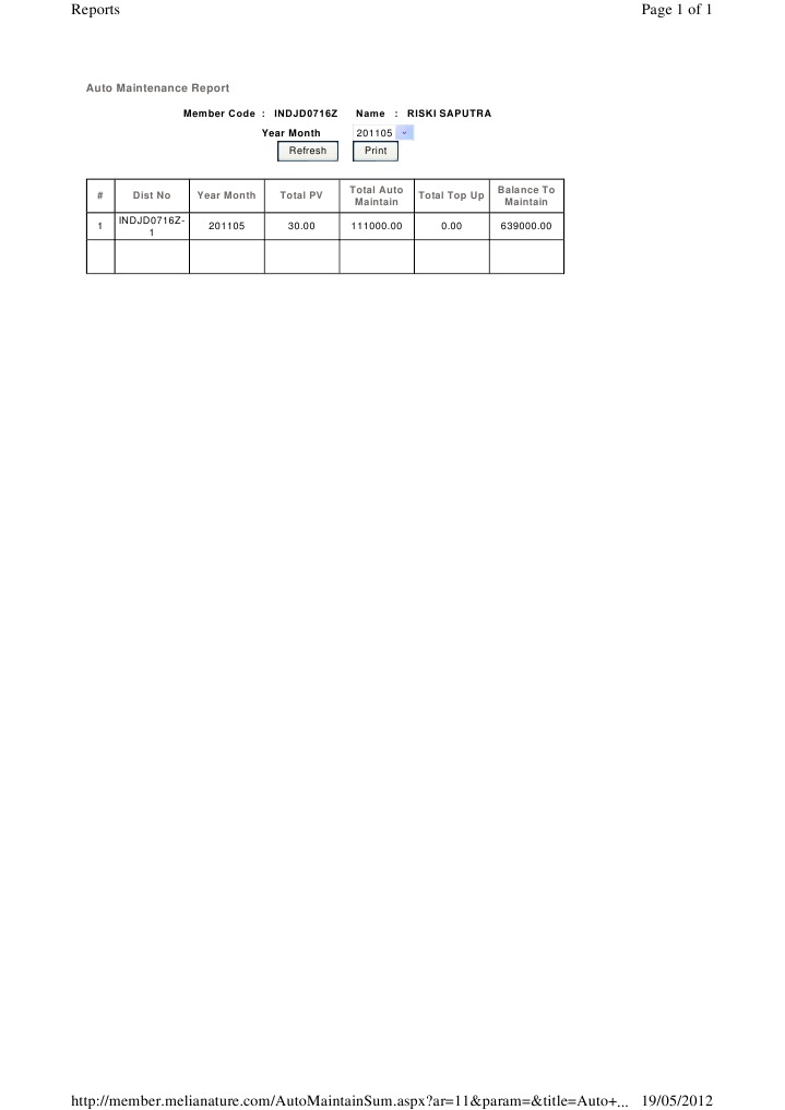 Auto Maintenance Summary Report | PDF | Finance & Money Management