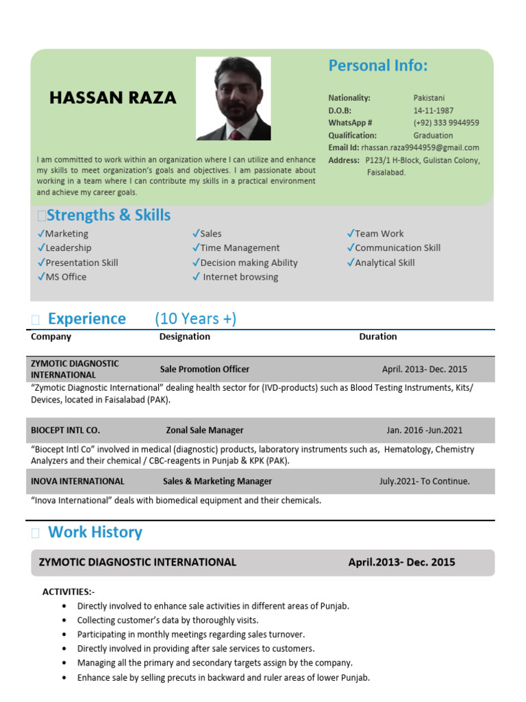 Hassan Raza CV | PDF | Business