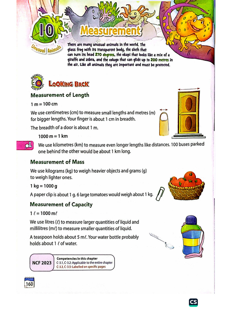 Measurement | PDF