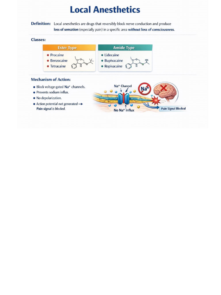 Local Anesthetic | PDF