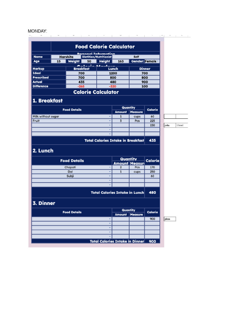 Chem SBC Calorie Counter | PDF