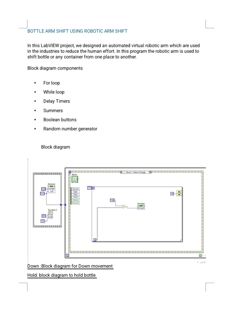 Swati Salmani Labview | PDF