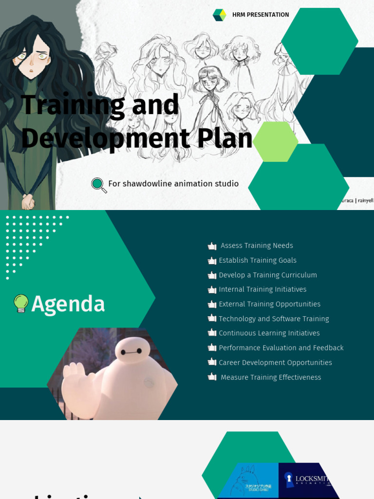 Training and Development Plan: For Shawdowline Animation Studio | PDF