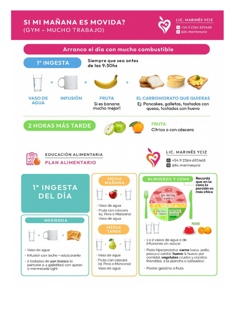 Plan Alimentario | PDF