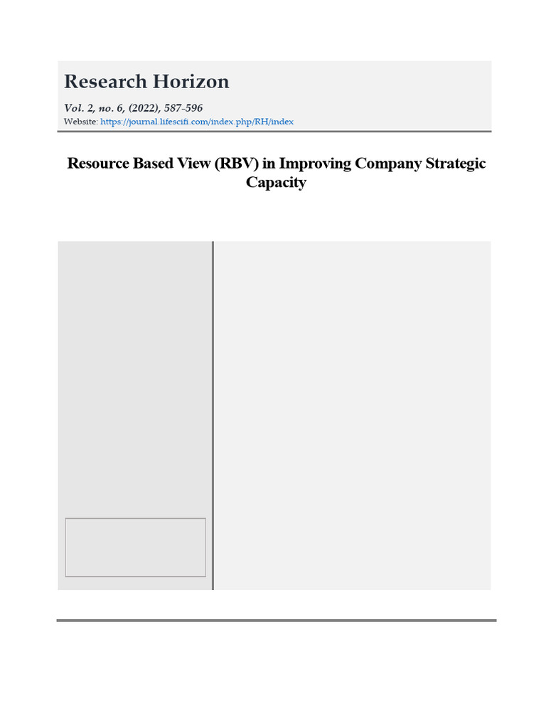 RBV Lubis | PDF | Competitive Advantage | Business