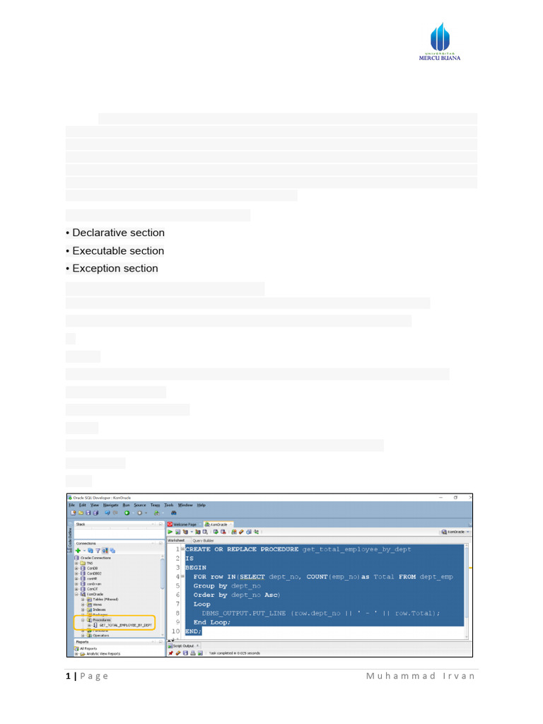 Stored Procedure Dan Function Pada PL - SQL - Pertemuan 08 | PDF